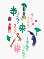 MUR DE CURIOSITES - Observateur d'oiseaux