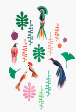 CURIOSITEITENMUUR - 5 paradijsvogels & 12 bladeren