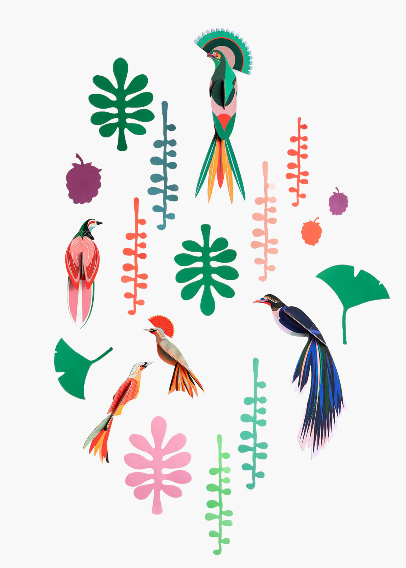 MUR DE CURIOSITES - Observateur d'oiseaux