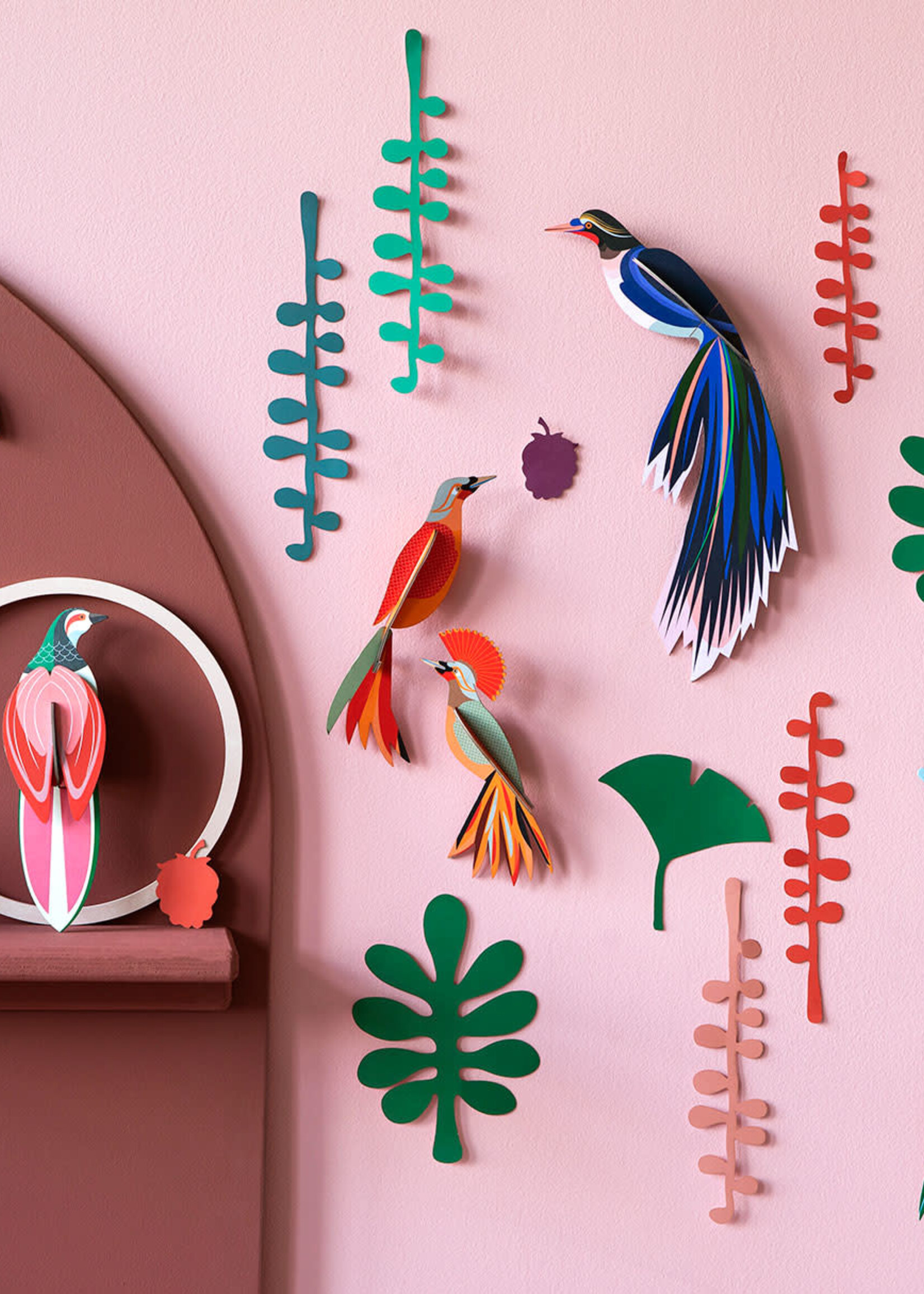 MUR DE CURIOSITES - Observateur d'oiseaux