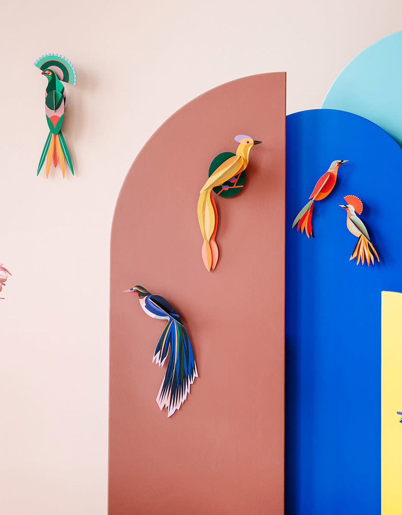 DIY OISEAU DE PARADIS - Savu