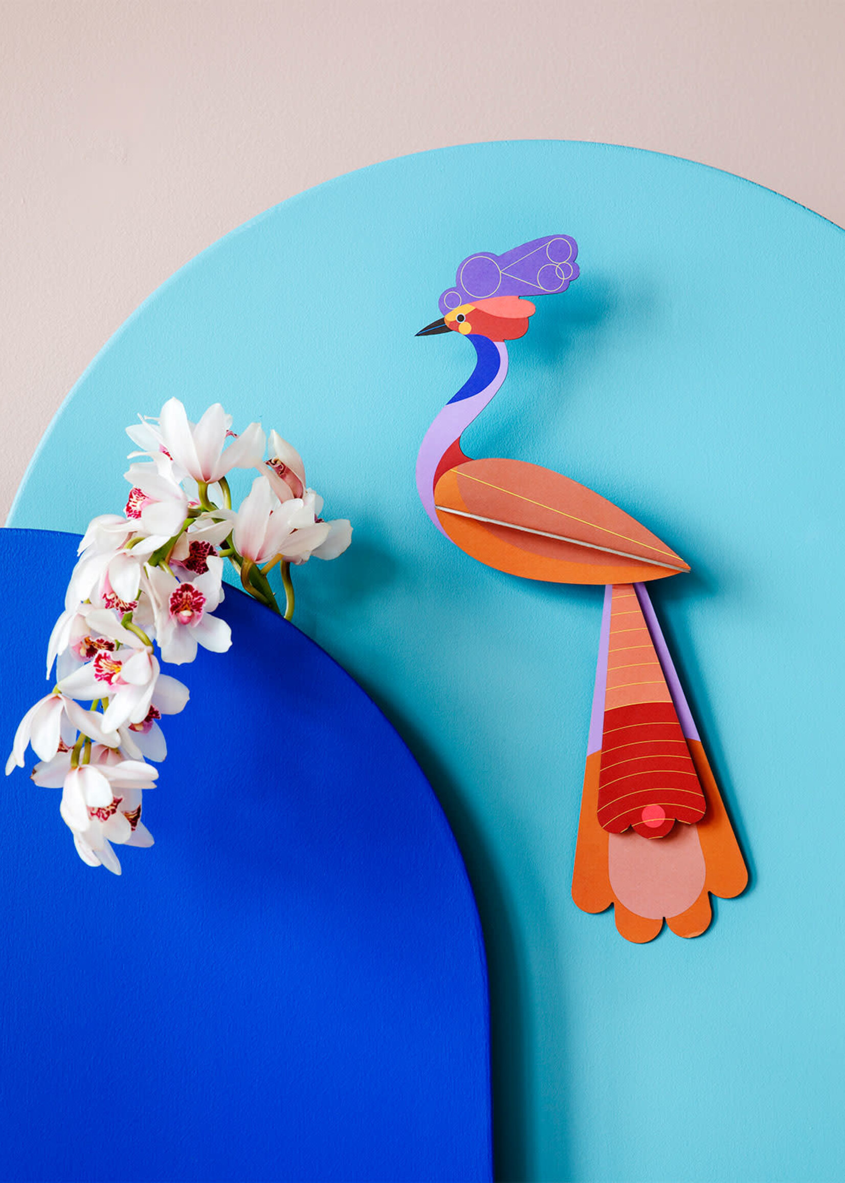 DIY BIRD OF PARADISE - Savu
