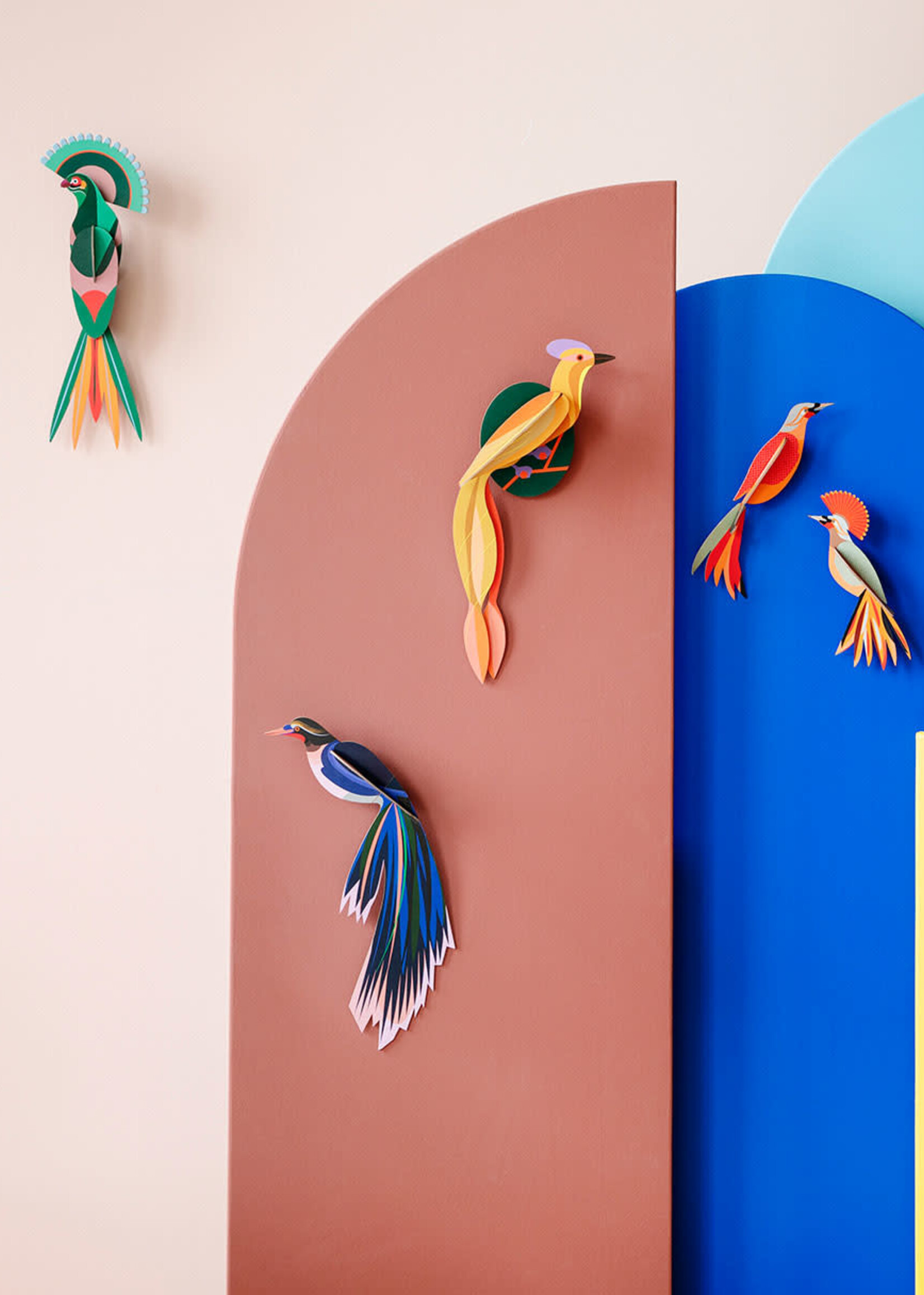 DIY OISEAU DE PARADIS - Olango