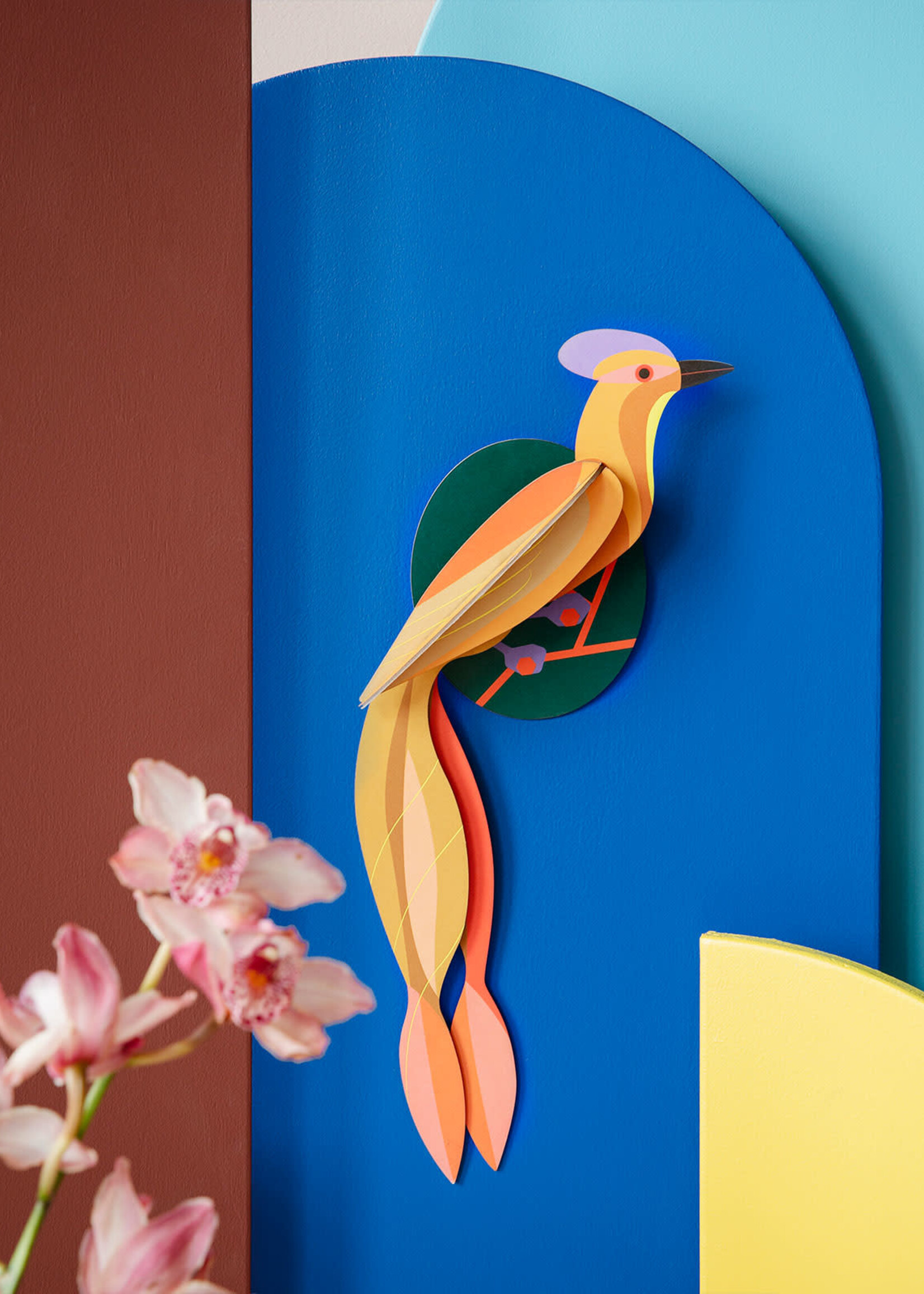 DIY OISEAU DE PARADIS - Olango