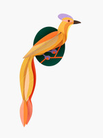 DIY BIRD OF PARADISE - Olango