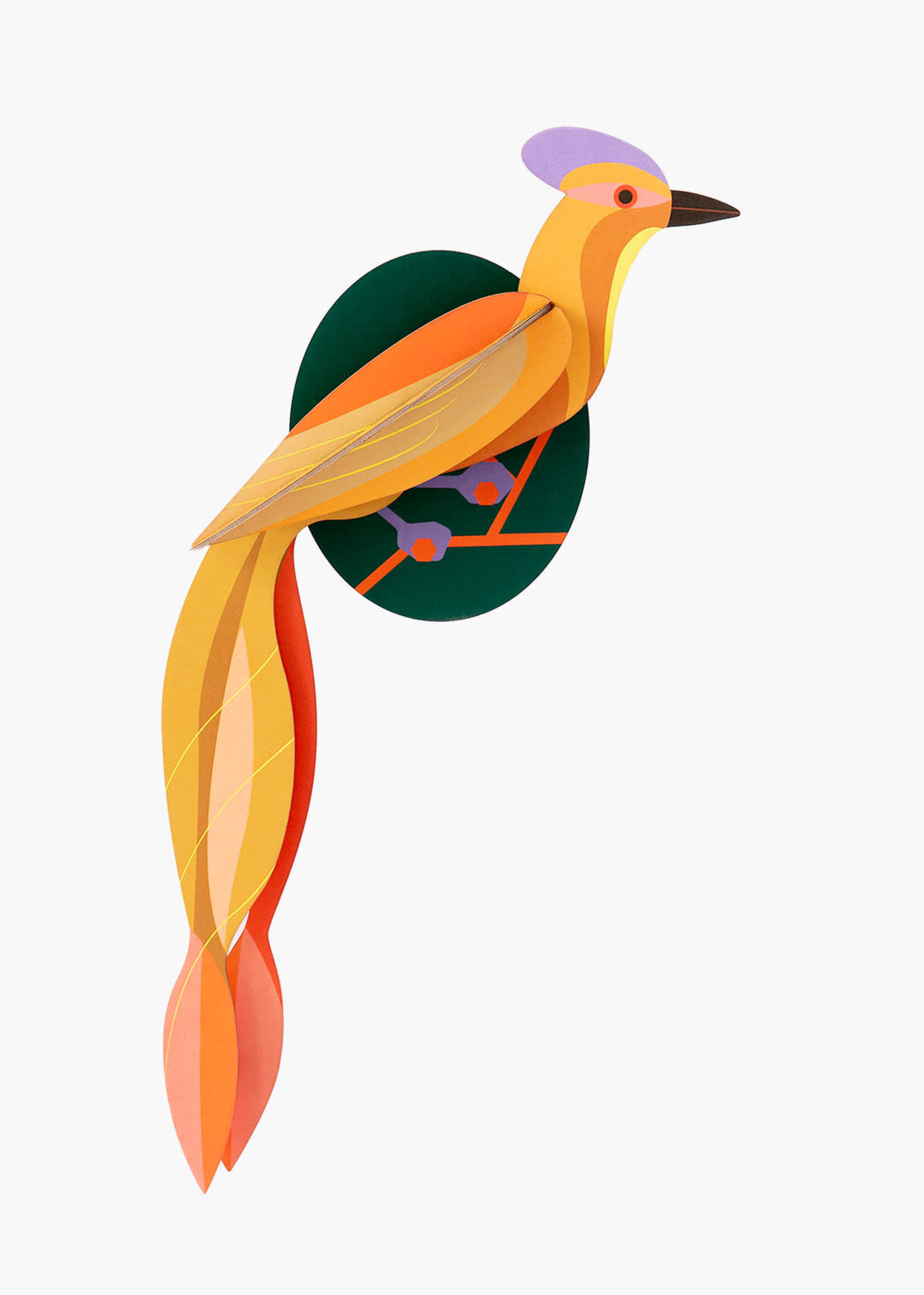 DIY OISEAU DE PARADIS - Olango