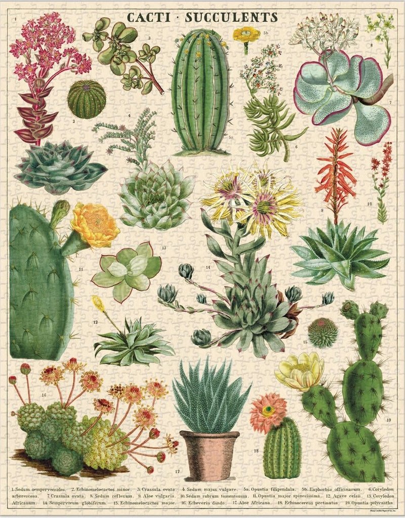 PUZZEL - Cactussen en vetplanten
