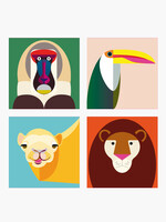MAGNETEN WILDE DIEREN - Aap assortiment