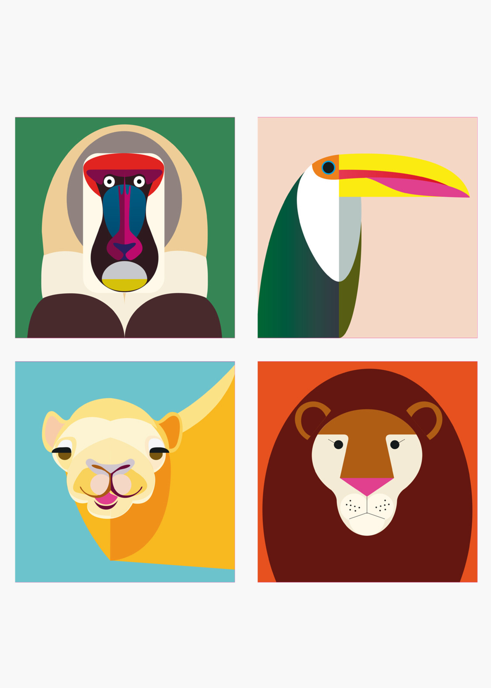 MAGNETS ANIMAUX SAUVAGES - Assortiment de singes