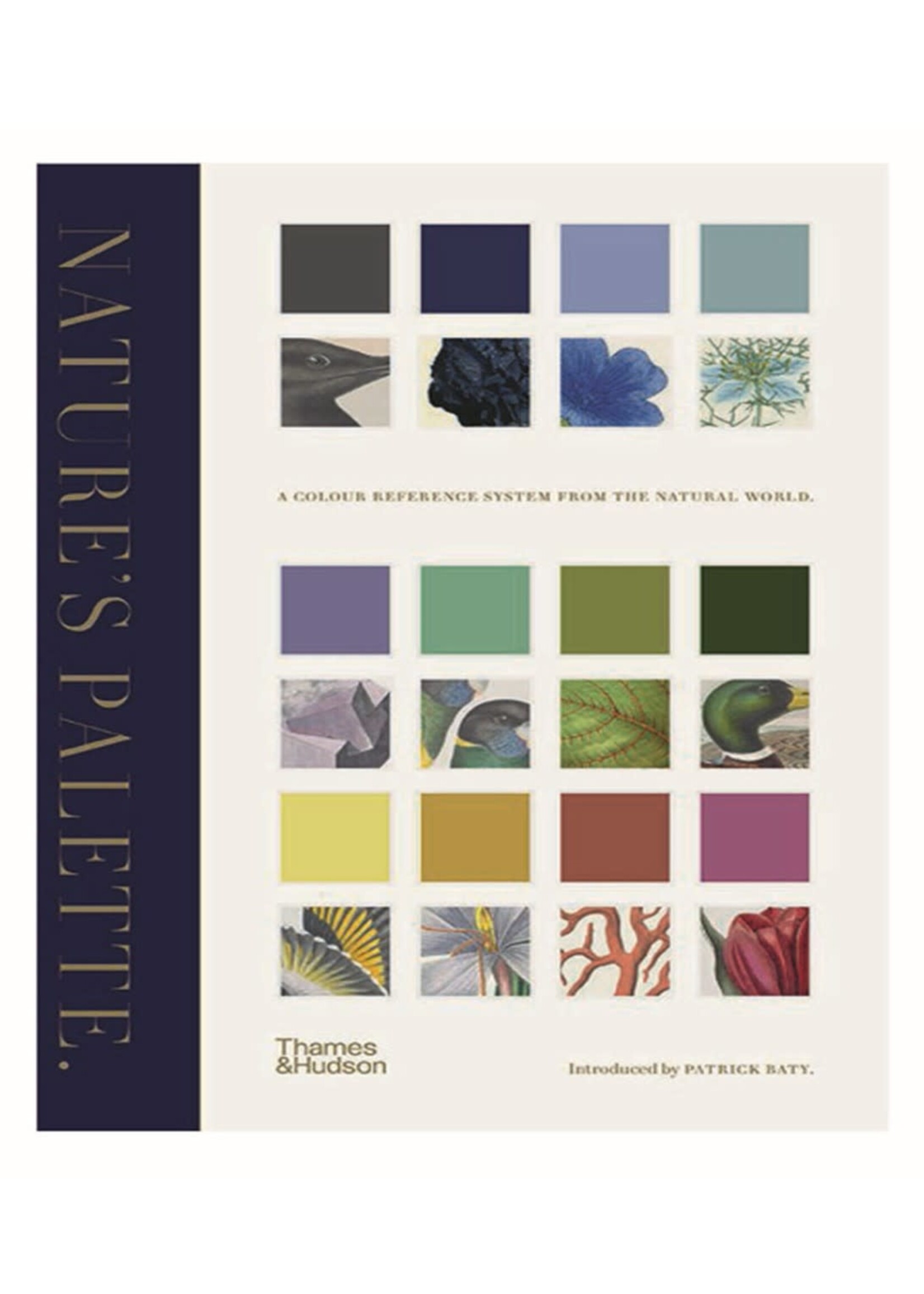 NATURE'S PALETTE