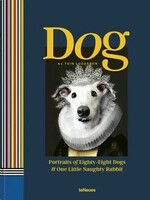 ART CARDS - DOG