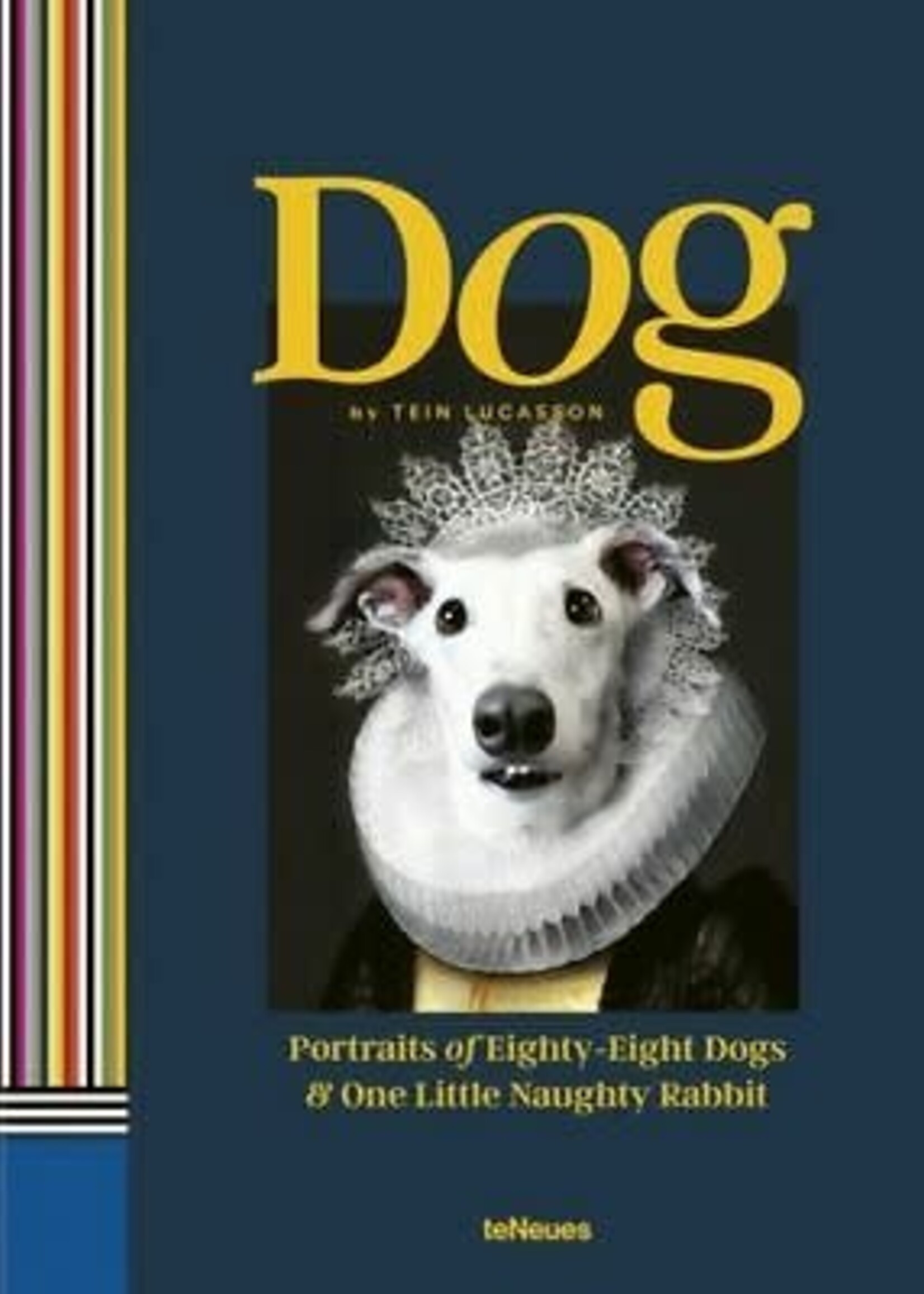 ART CARDS - DOG