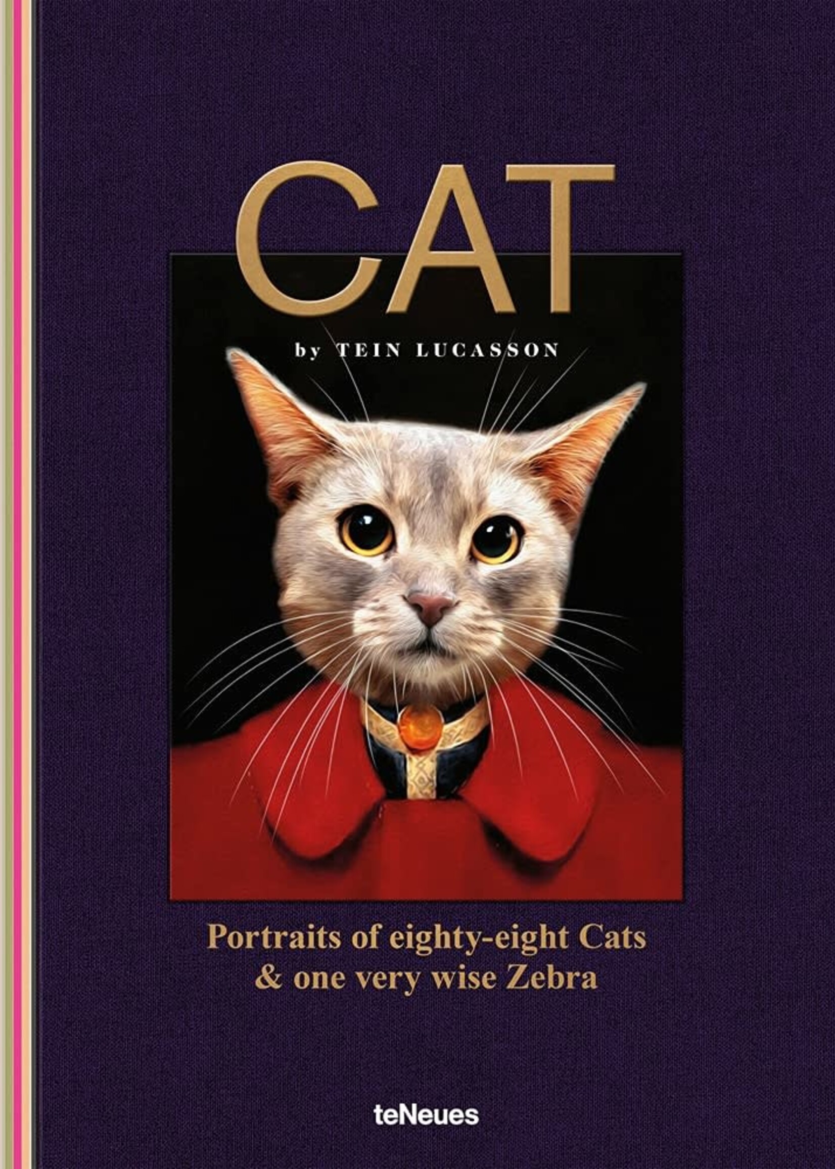 ART CARDS - THE CAT