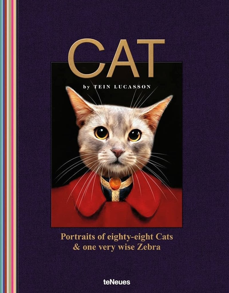 ART CARDS - THE CAT