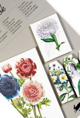 The Pepin Press Copy of Paper Craft Book: NATURAL HISTORY