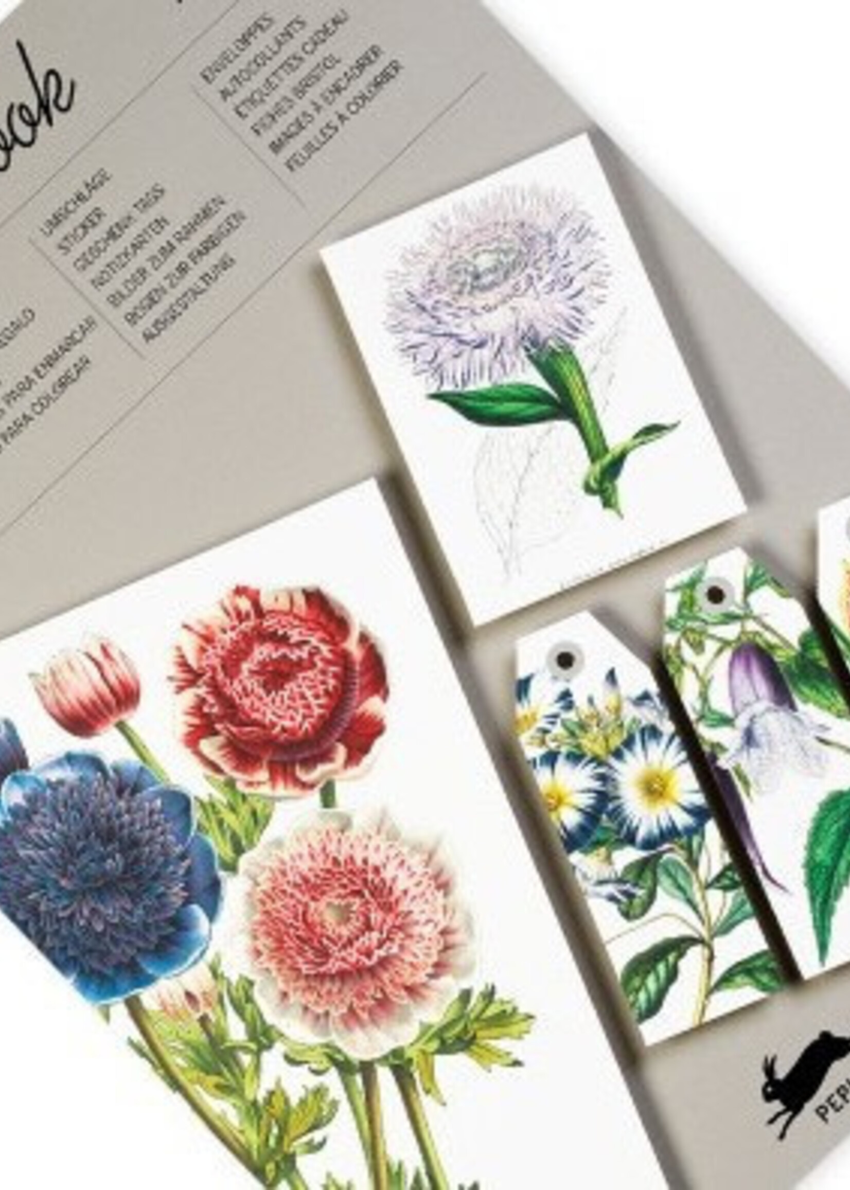 The Pepin Press Copy of Paper Craft Book: NATURAL HISTORY