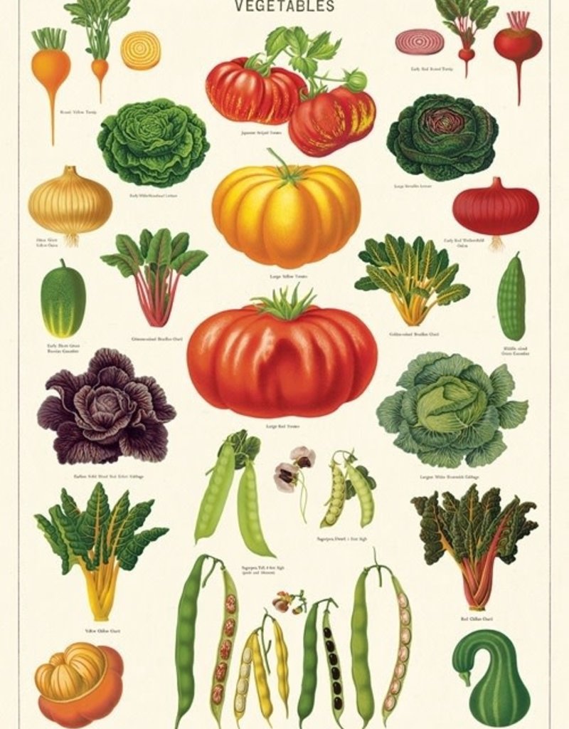 VINTAGE POSTER -Vegetables