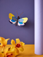 Copy of DIY WANDDECORATIE - Hommel