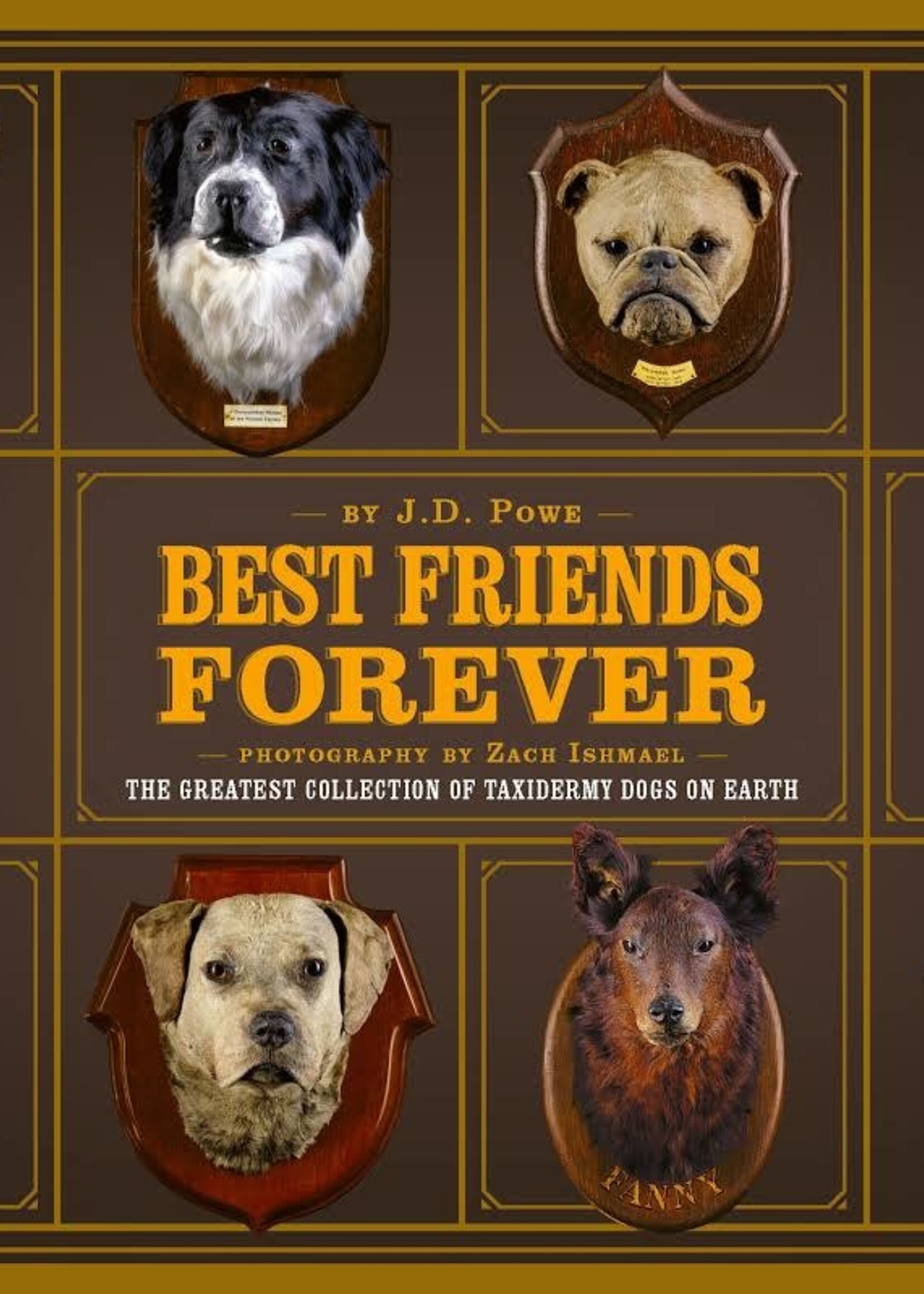 Cernunnos J.D. POWE - Best Friends Forever