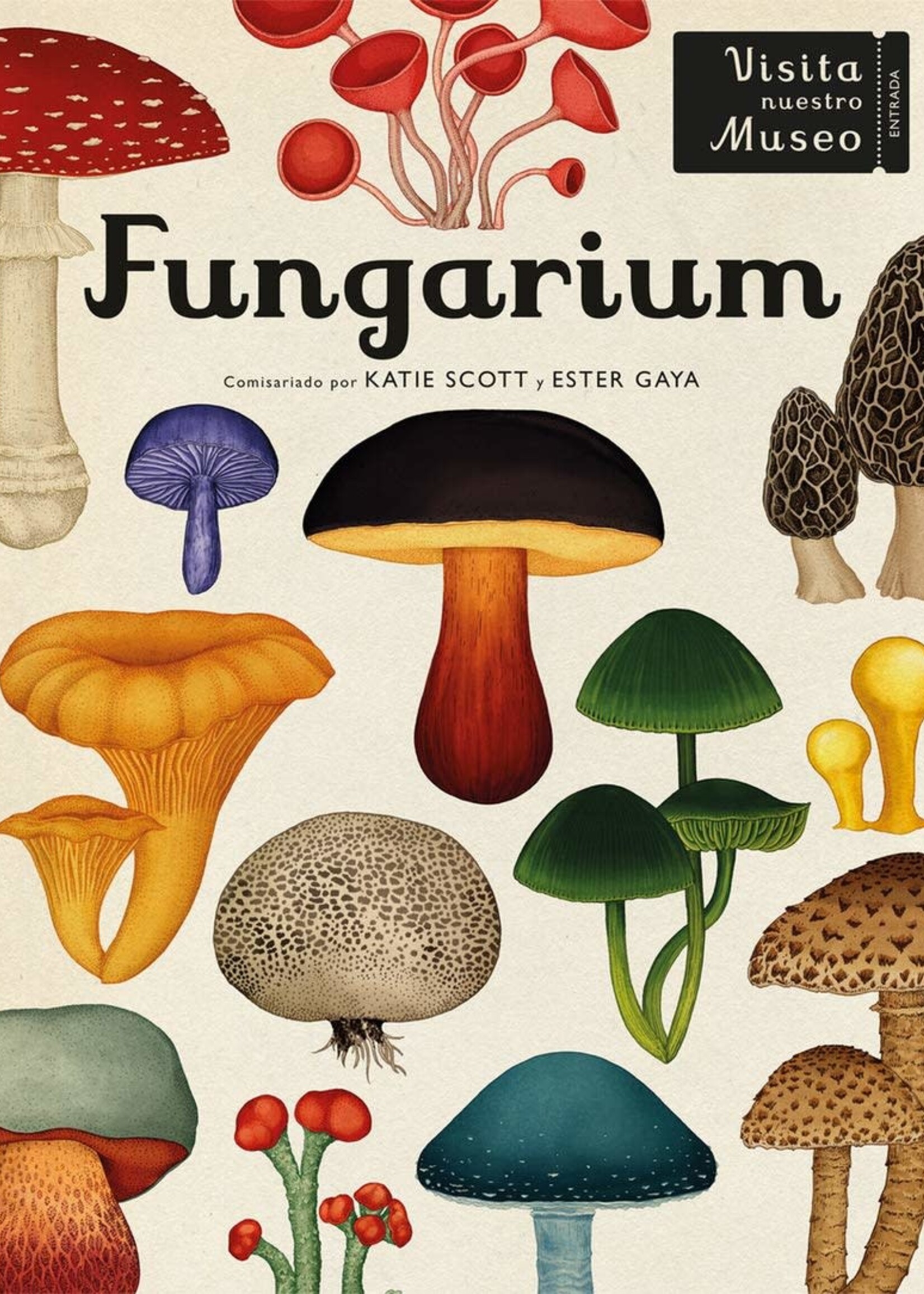 FUNGARIUM POSTCARD BOX - Welcome to the museum