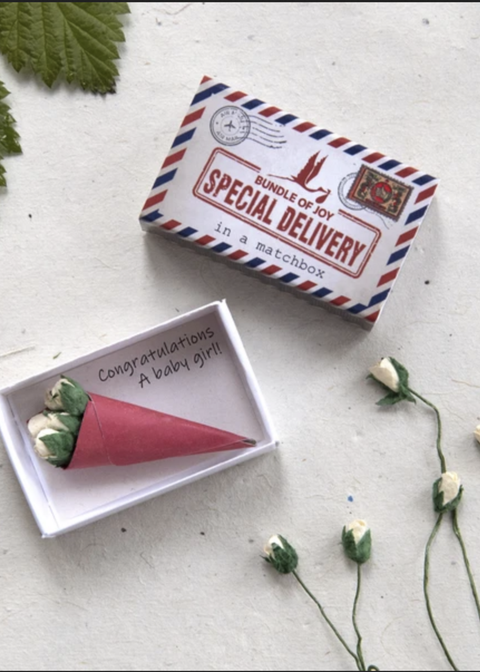 Marvling Bros Ltd. LUCIFERDOOSJE - Speciale Geboorte Meisje