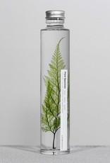 PLANTSPECIMEN - Tabaria fern (200ml)