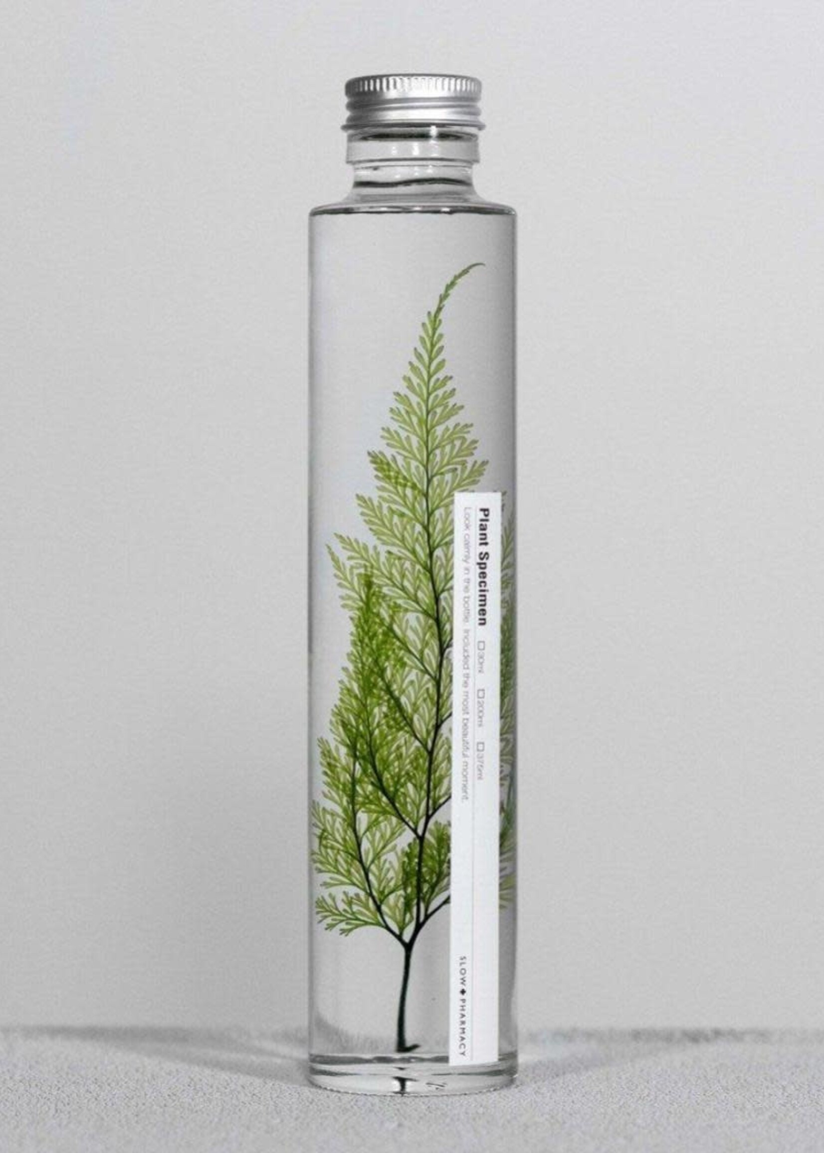 PLANTEN SPECIMEN - Tabaria fern (200ml)