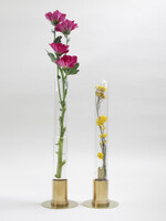 PICUS HERBARIUM - antiek gouden stolp met bloem