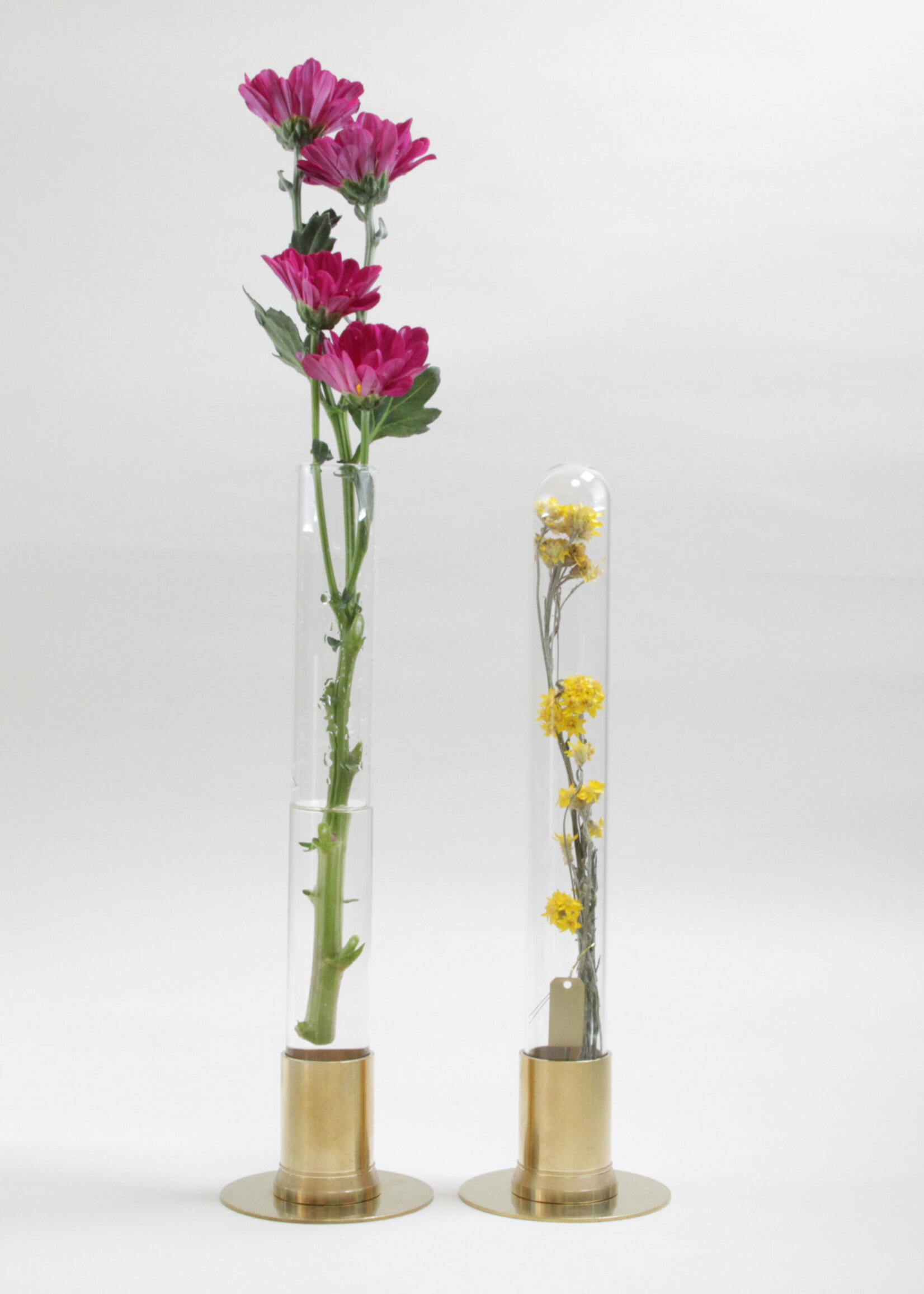 PICUS HERBARIUM - antiek gouden stolp met bloem
