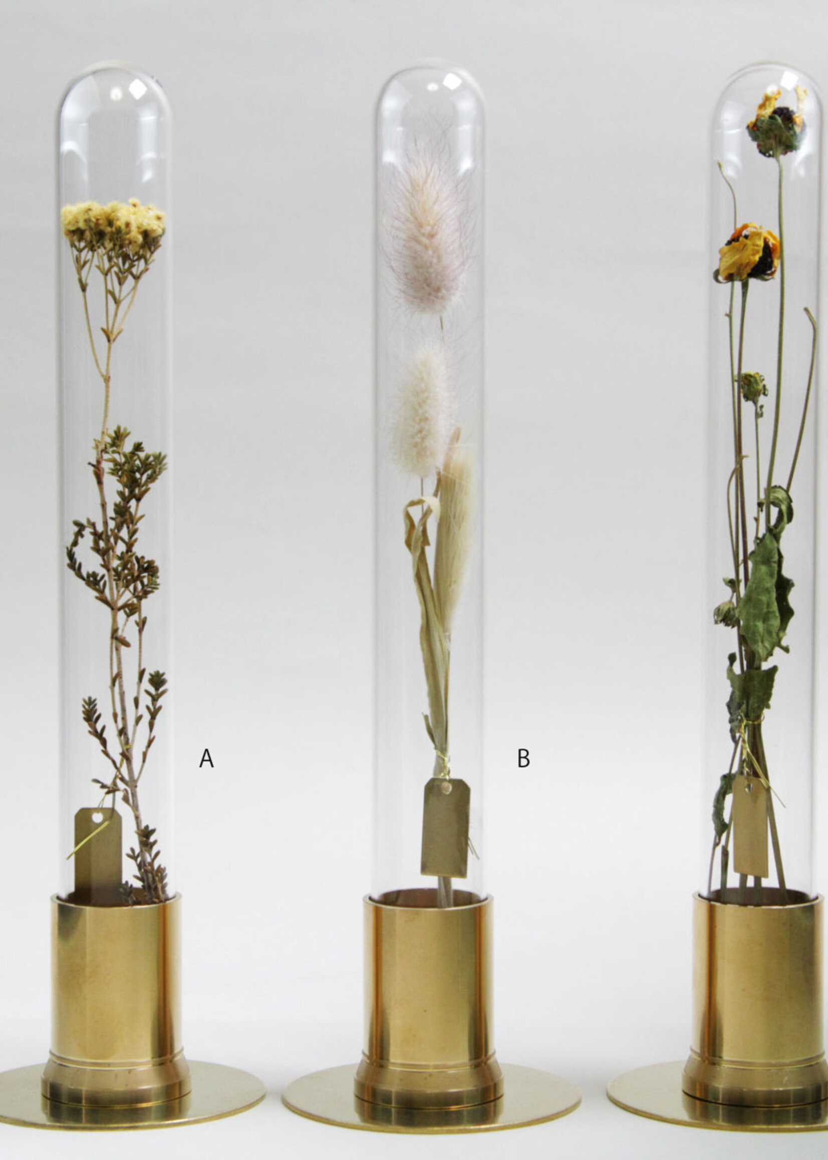 PICUS HERBARIUM - antiek gouden stolp met bloem