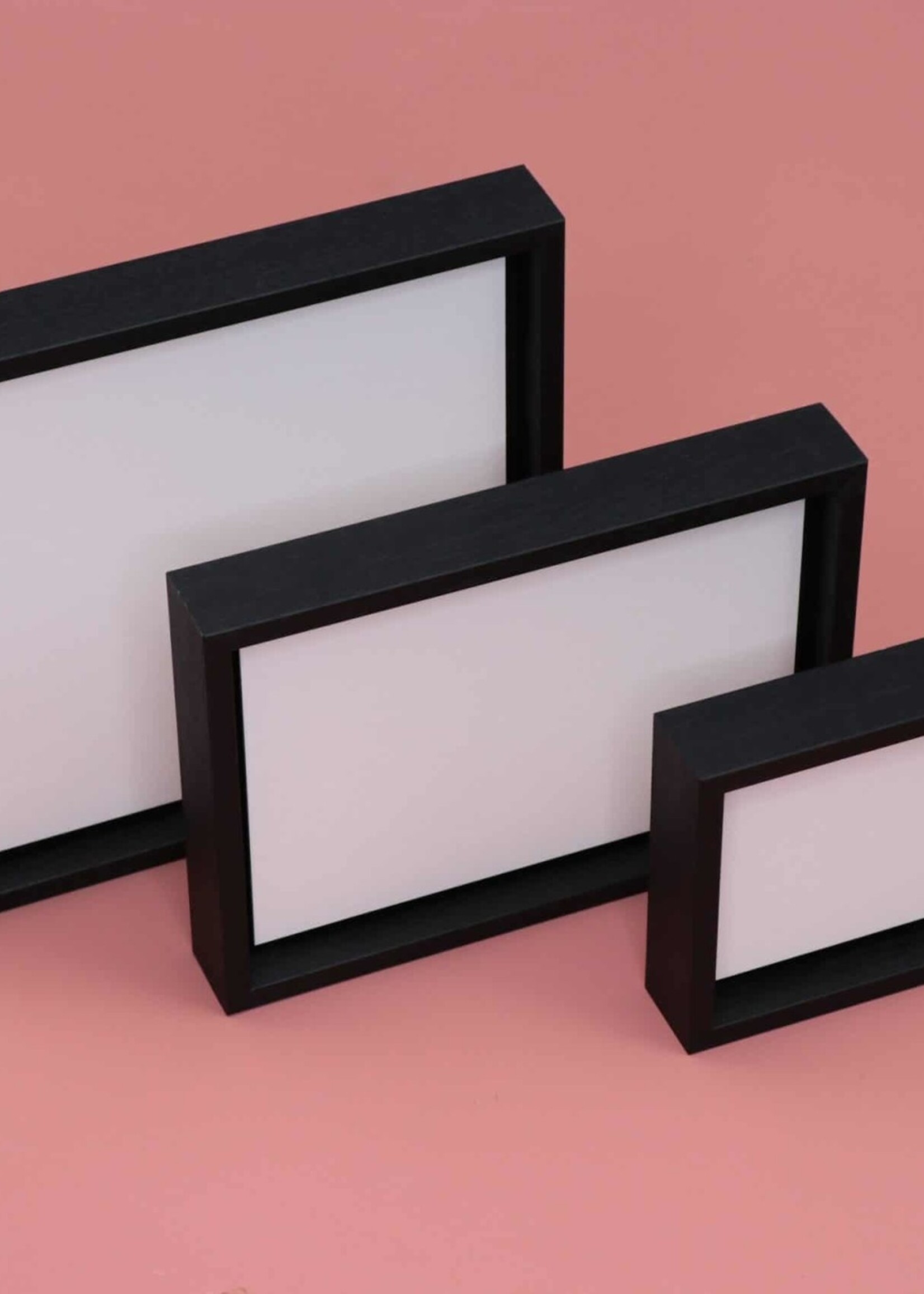 WOODEN FRAME for cardboard insects