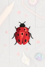 DIY DECORATION -Ladybug