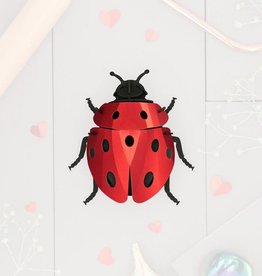 DIY DECORATION - Ladybug