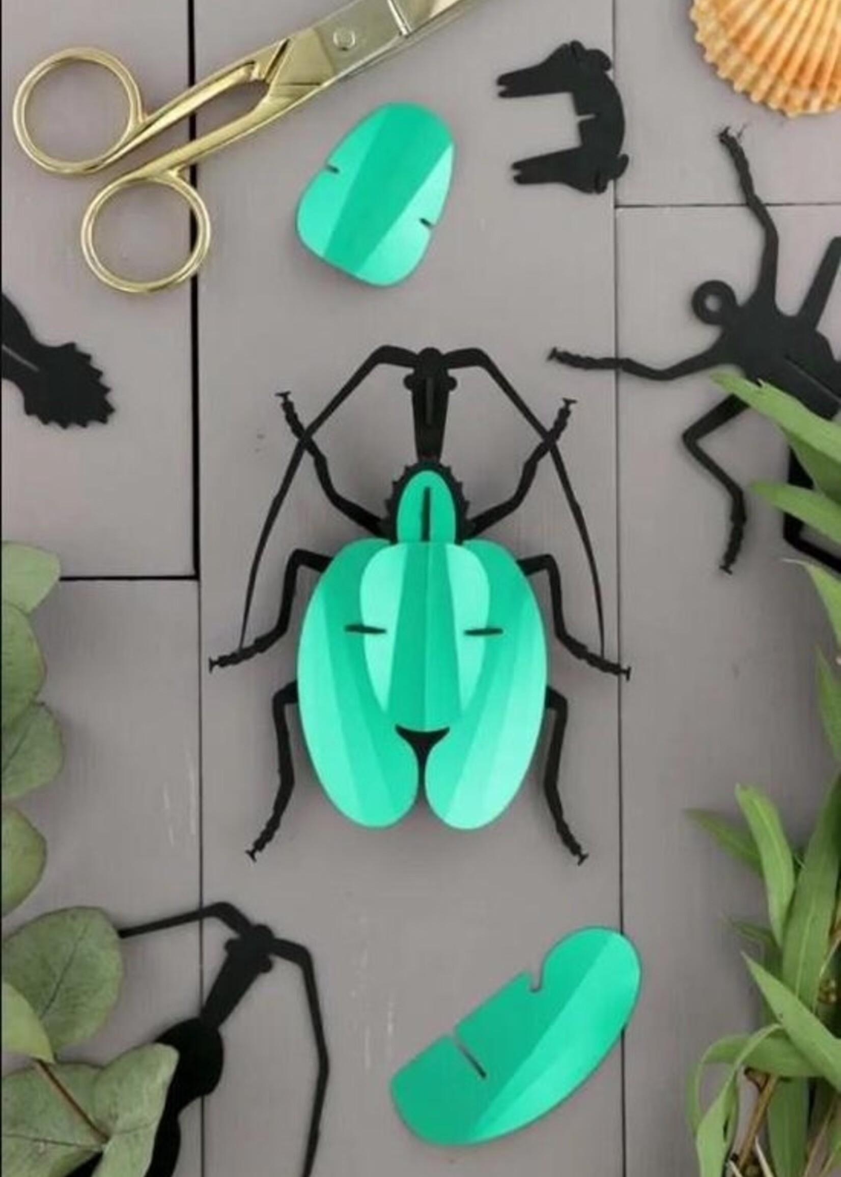 DIY DECORATION- Scarabée violon