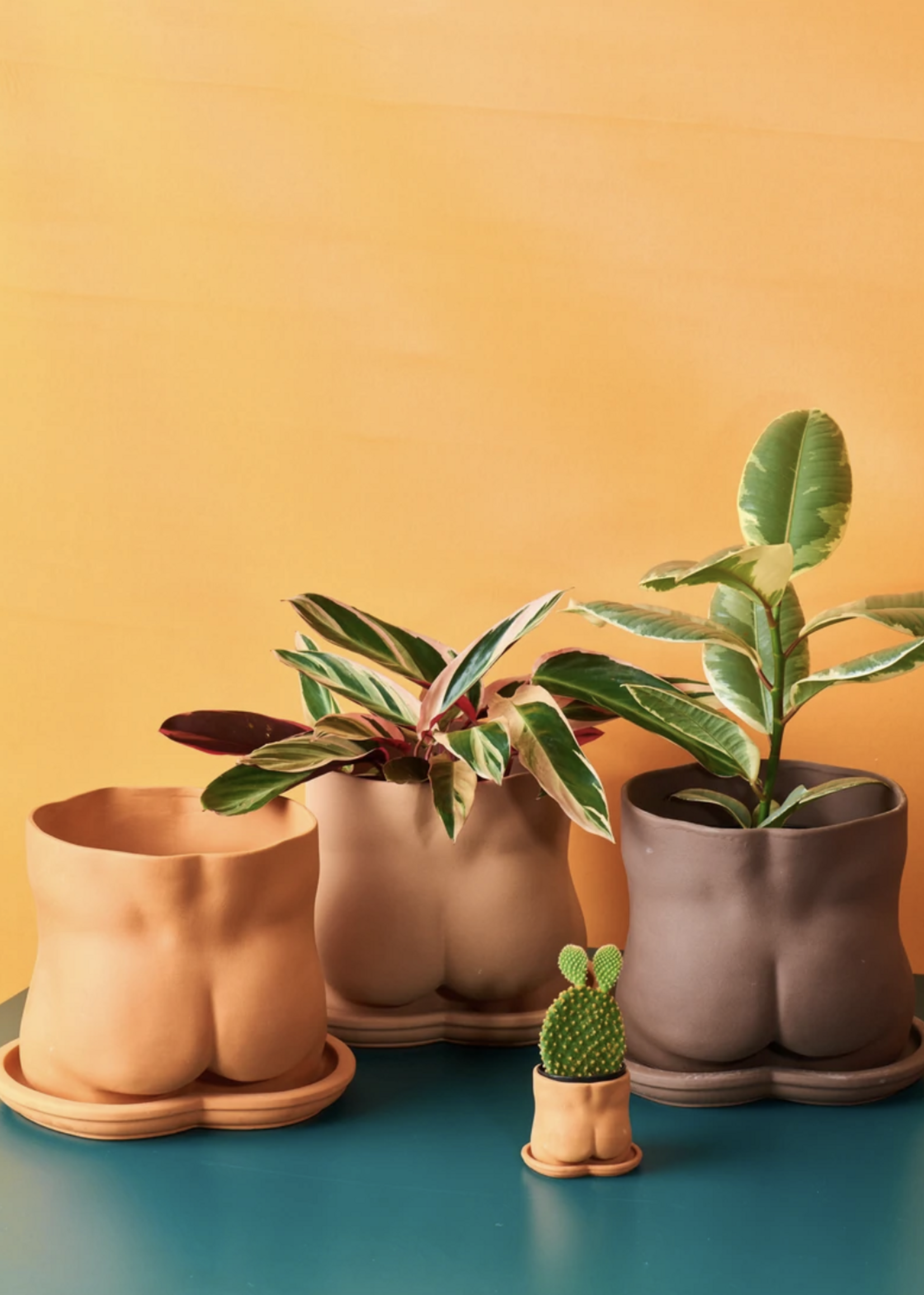 BOOTY POT