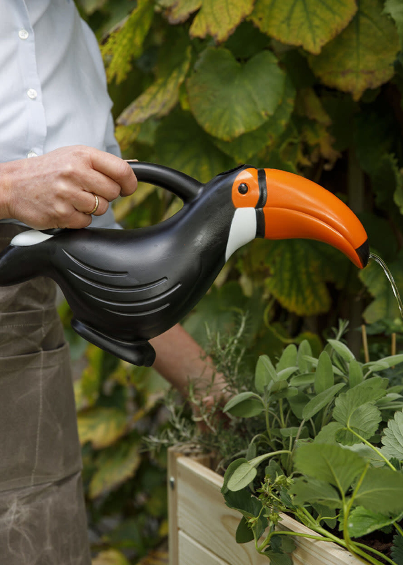 ARROSOIR - Toucan
