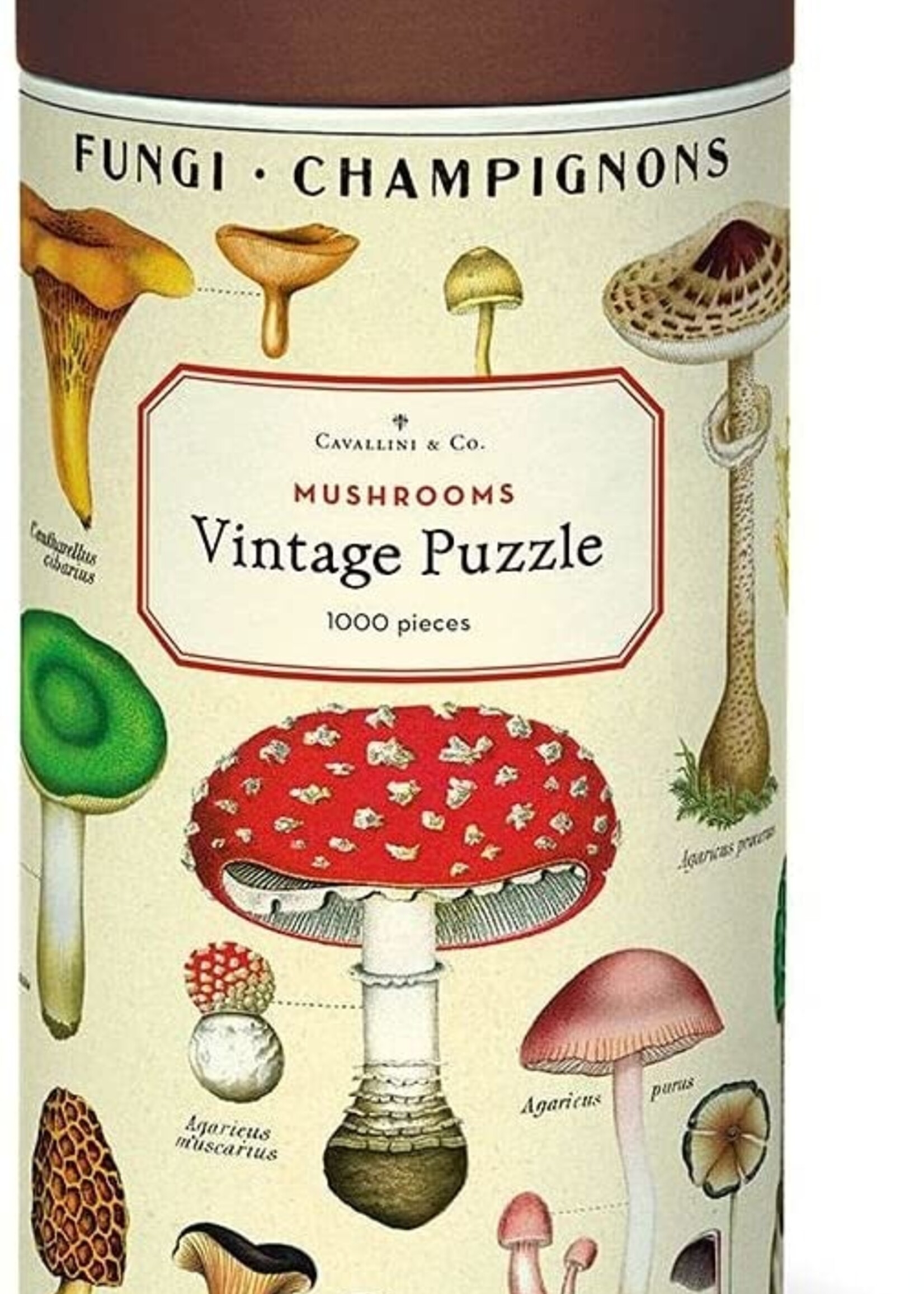 PUZZEL - Paddestoelen