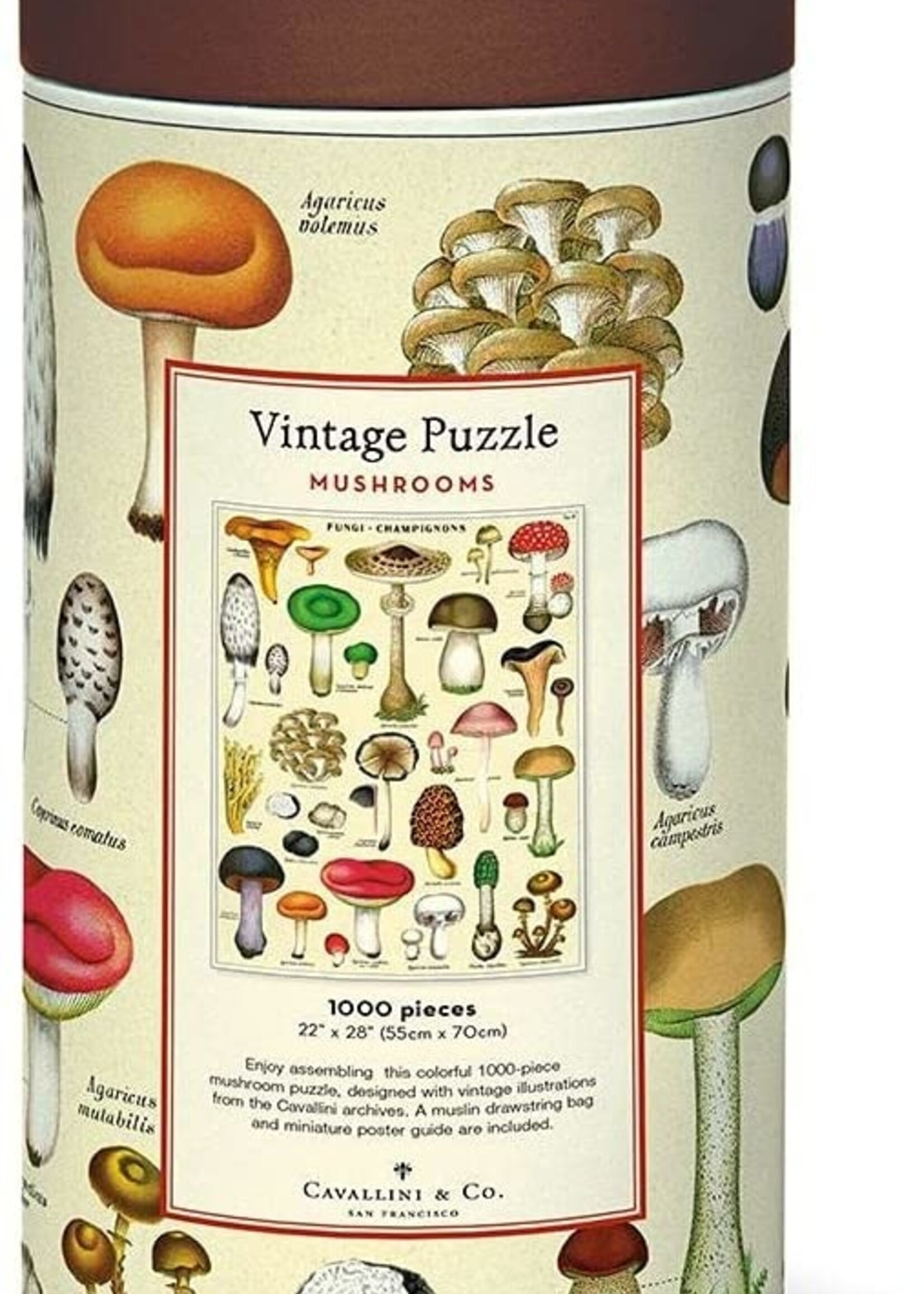 CHAMPIGNONS DE PUZZLE