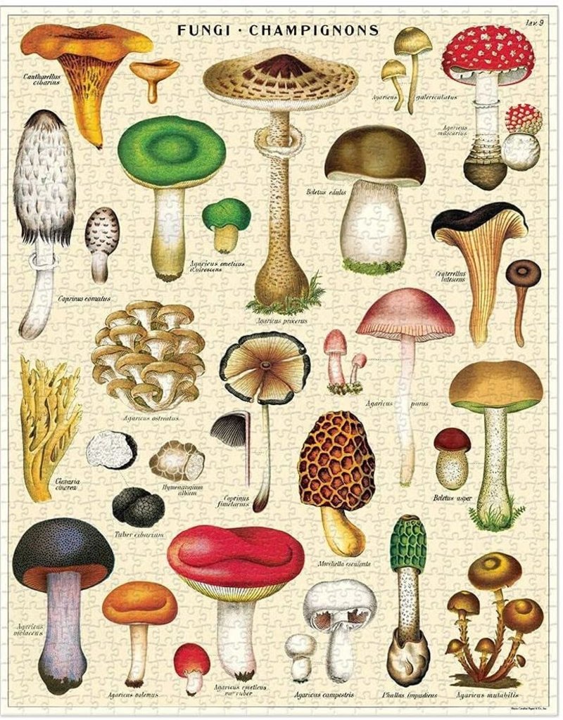 PUZZLE - Mushrooms