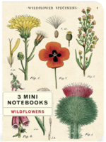 3 PETITS CARNET DE NOTES - Fleurs sauvages