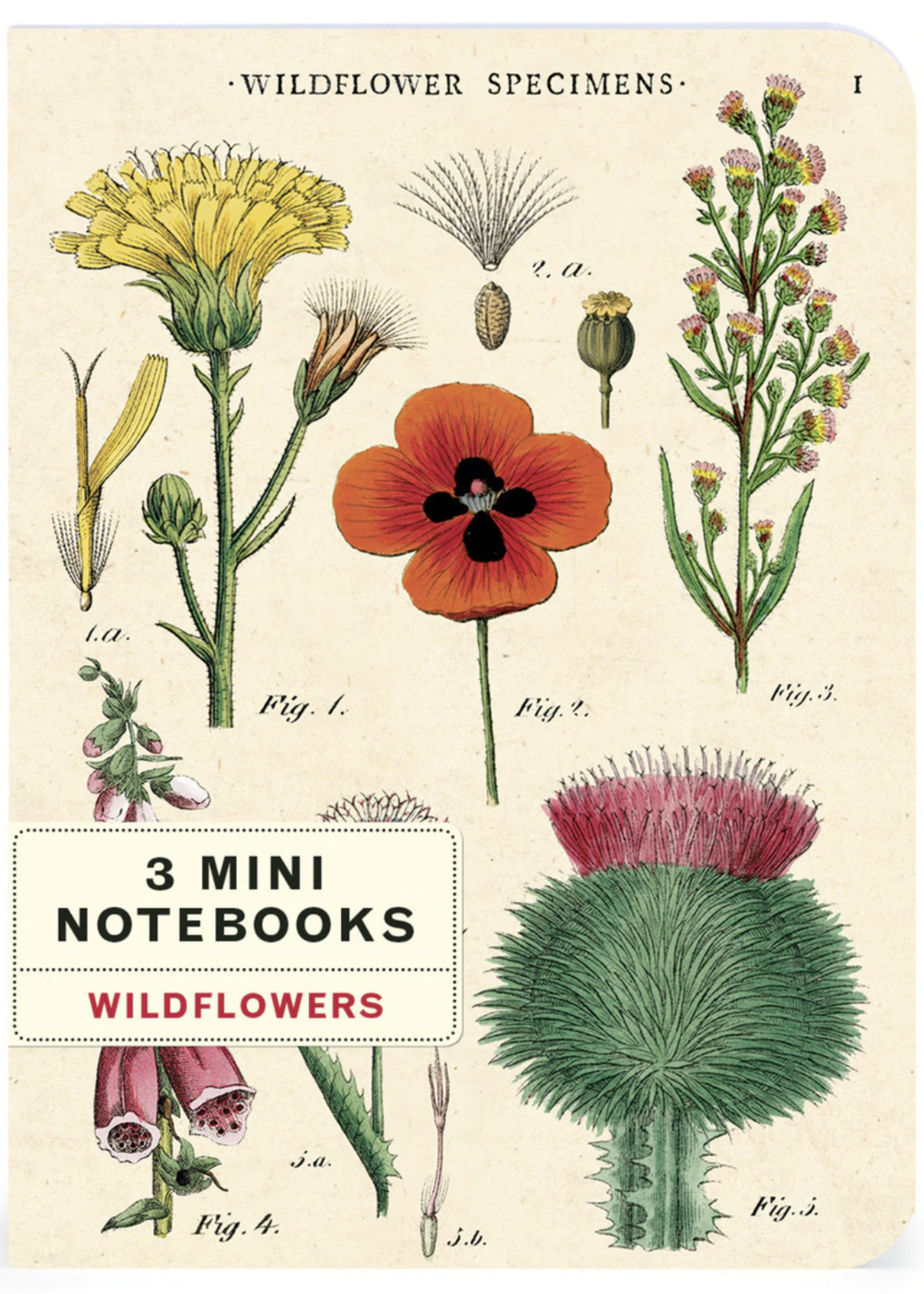 3 MINI NOTITIEBOEKJES - Wild flowers