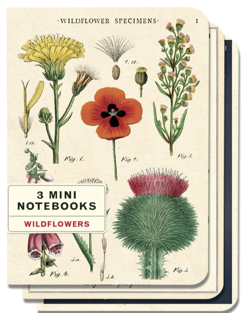 3 MINI NOTITIEBOEKJES - Wild flowers