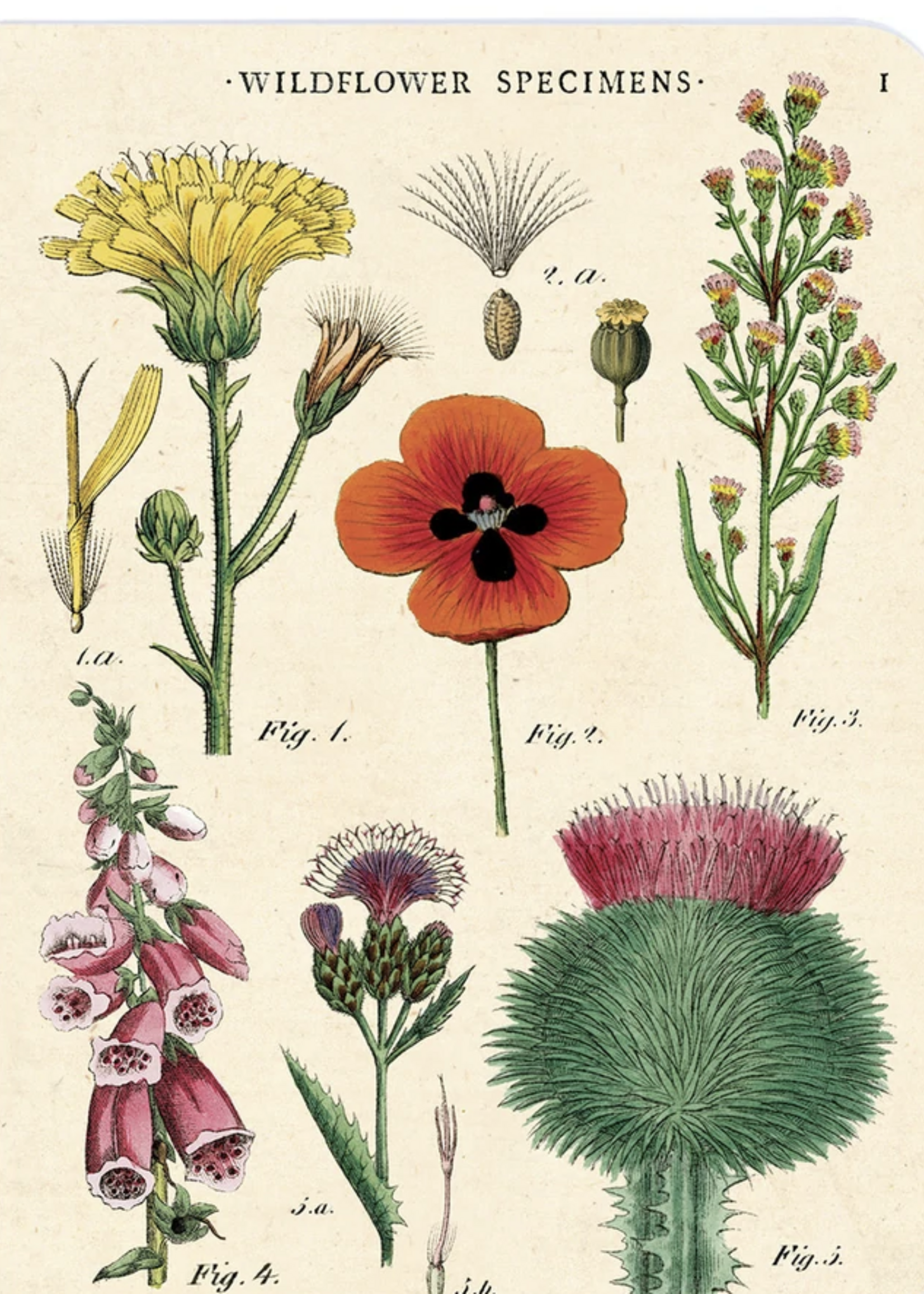 3 MINI NOTITIEBOEKJES - Wilde bloemen
