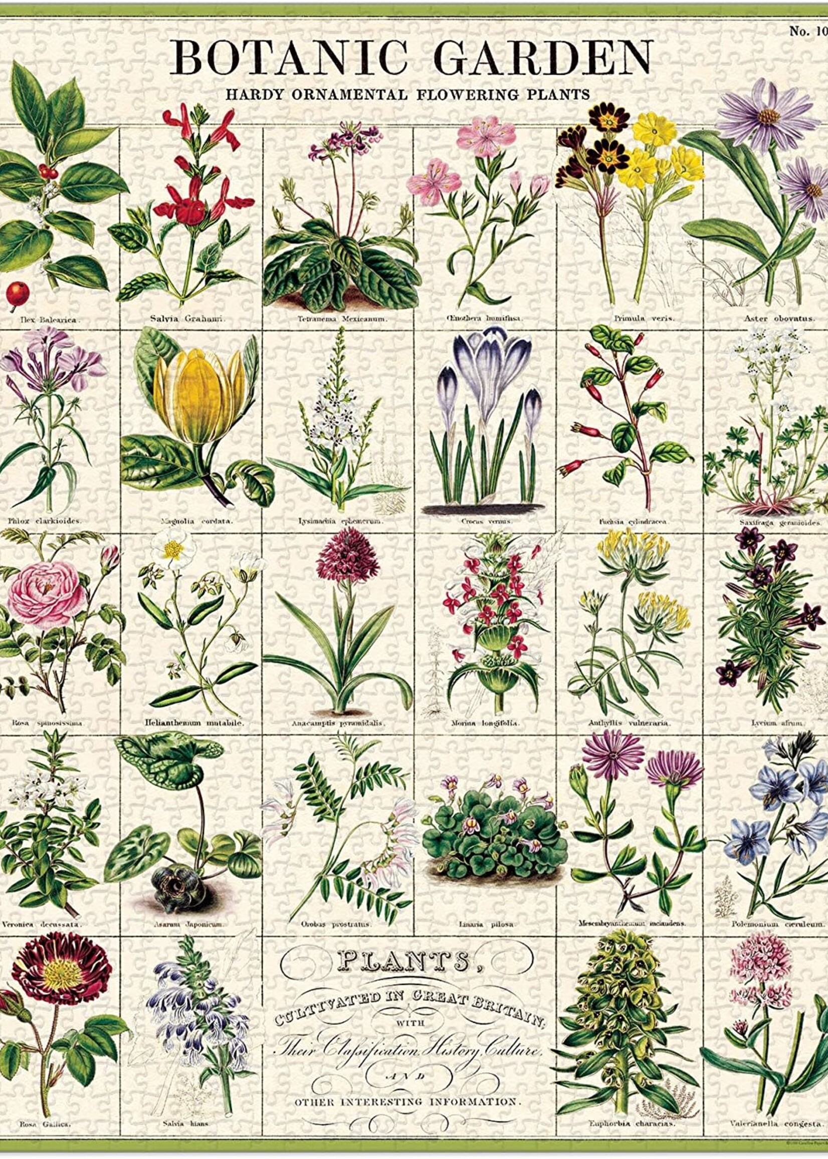 PUZZEL - Botanische tuin