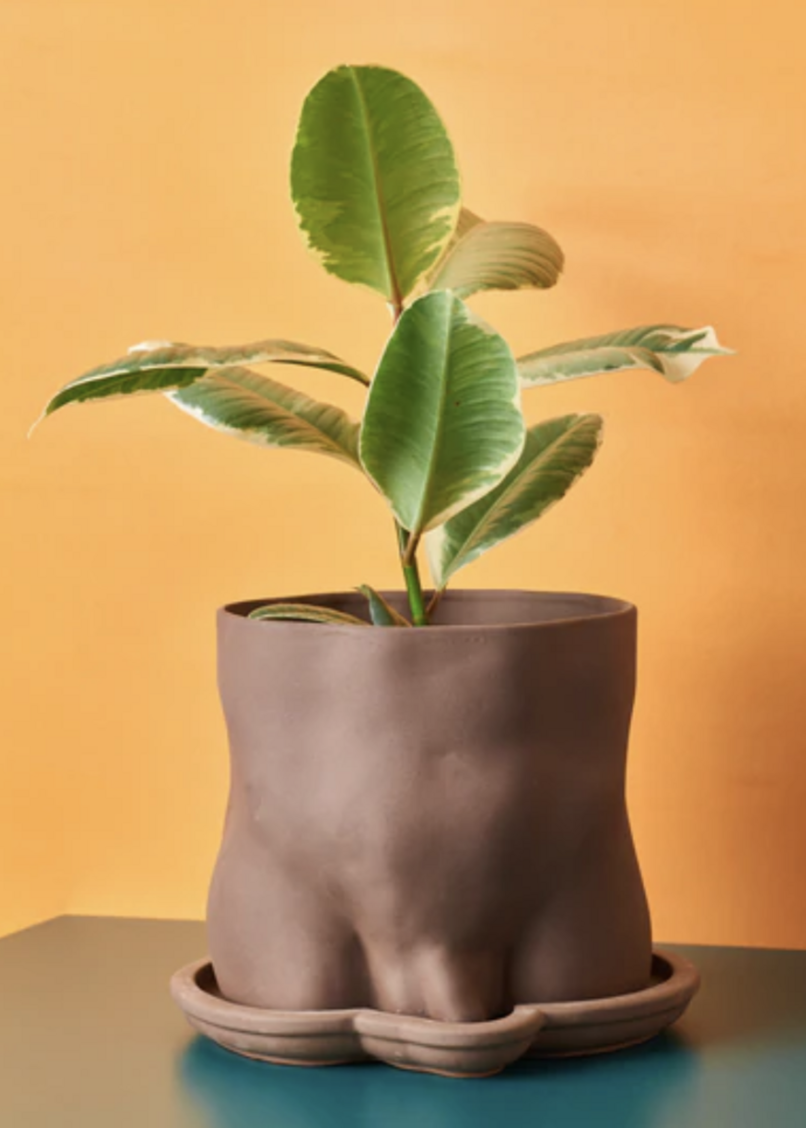 BOOTY POT