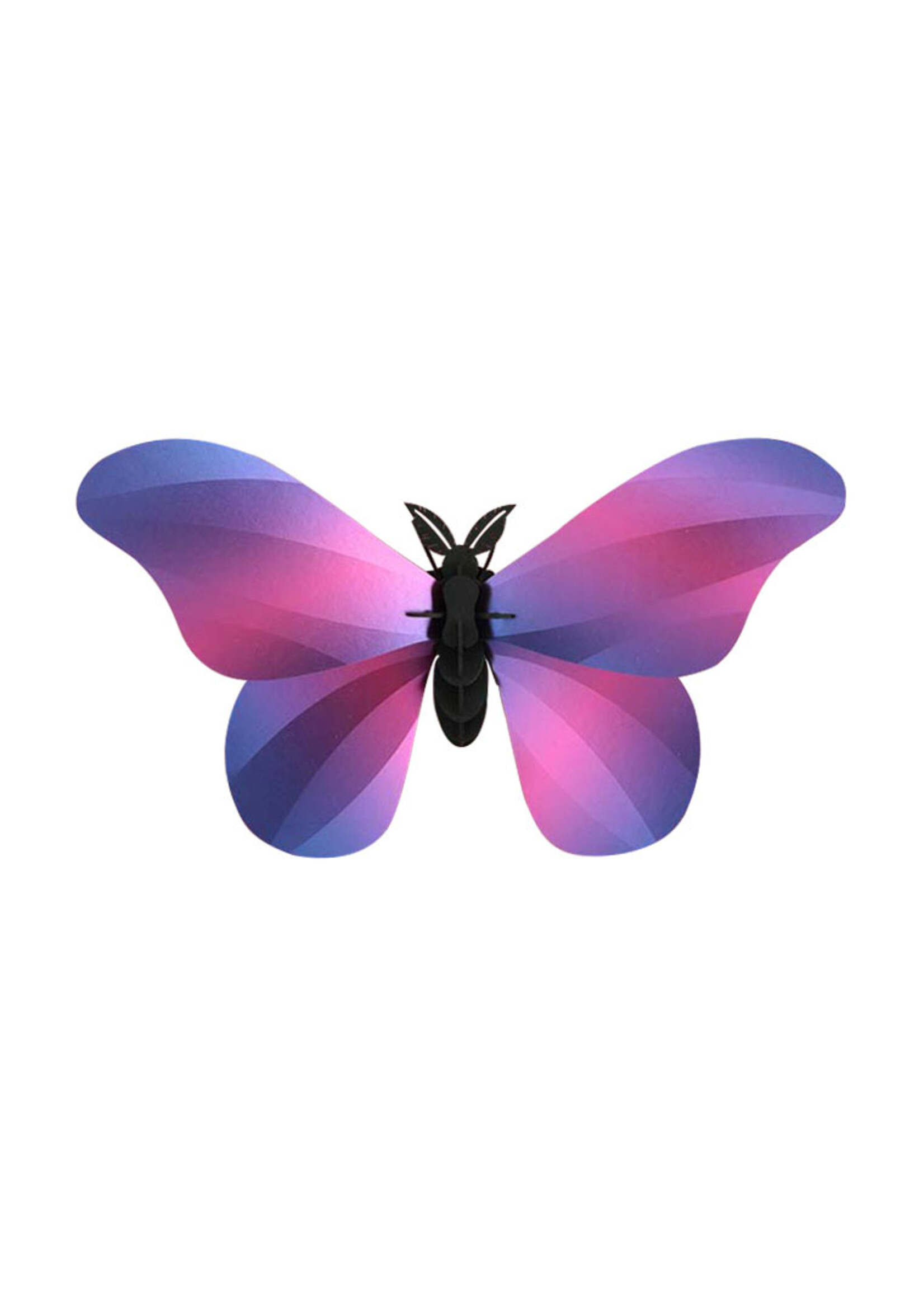 DIY DECORATIE - Giant Silk Butterfly