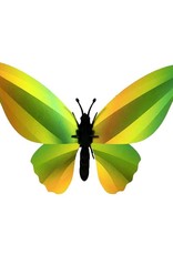 DIY WANDDECORATIE - Birdwing vlinder