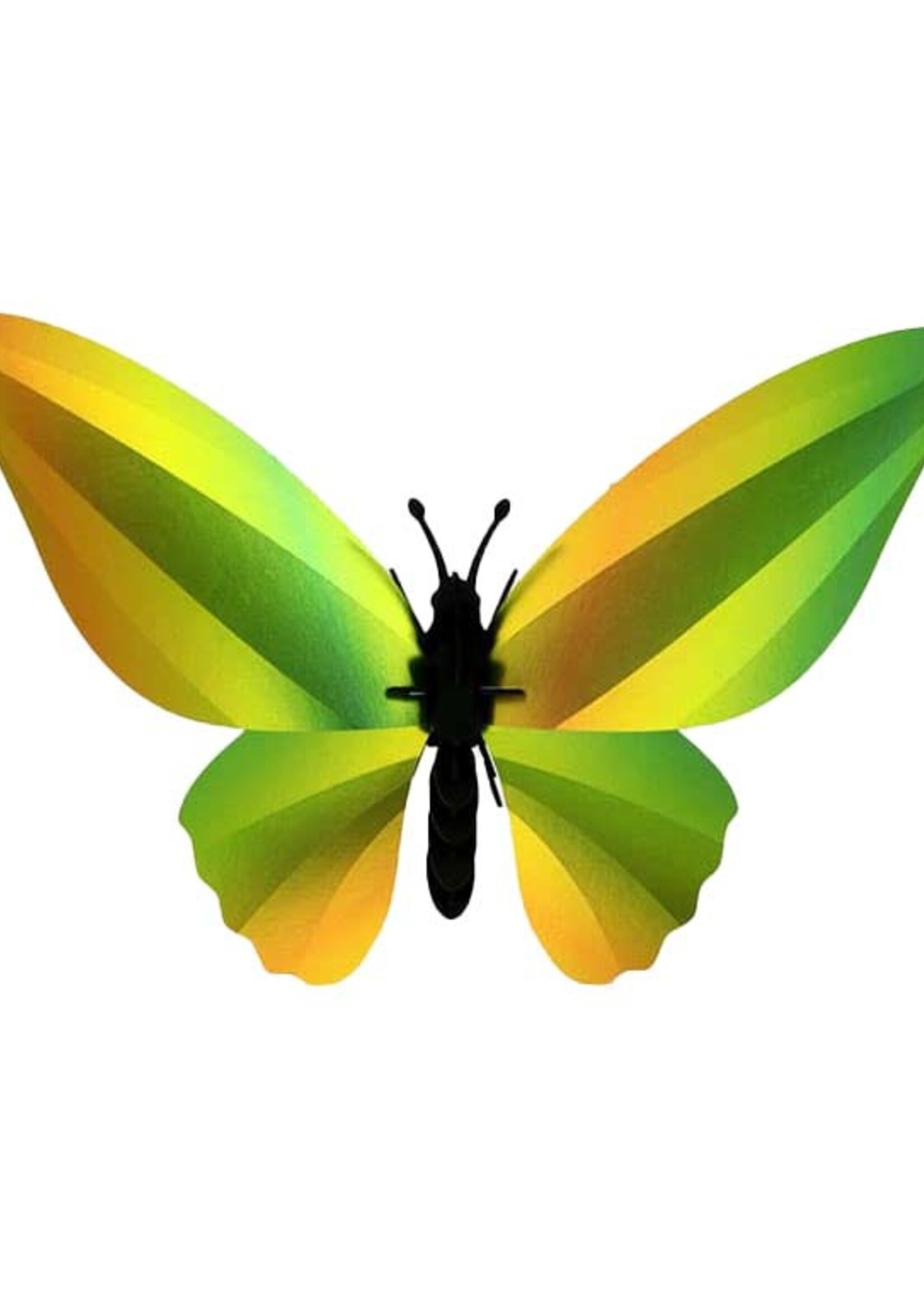 DIY DECORATION MURAL - Papillon Ornithoptère