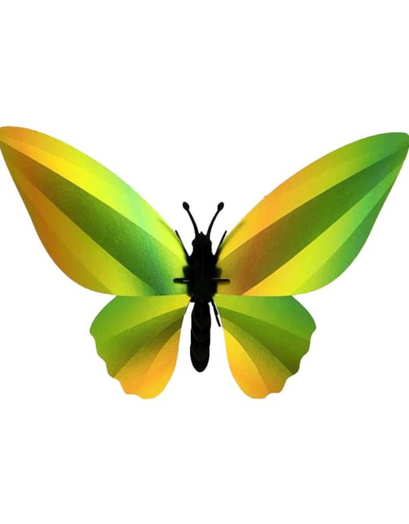 DIY DECORATION MURAL - Papillon Ornithoptère
