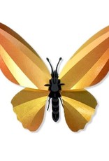 DIY WALLDECORATION - Birdwing Butterfly